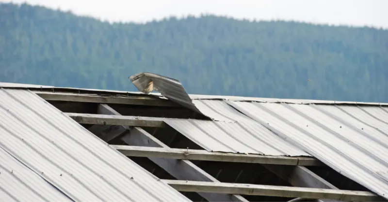 Bạn cần vệ sinh mái, bịt khe hở, gia cố vít lợp, khung xà gỗ,... khi mái tôn dễ bị kêu do tác động môi trường