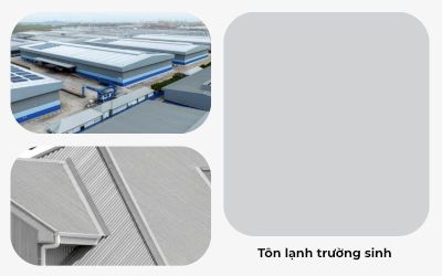 Tôn lạnh trường sinh