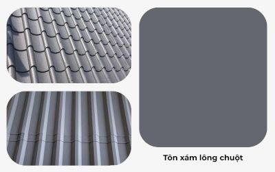 Xám lông chuột