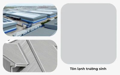 Tôn lạnh trường sinh